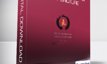 Nigel Ching & Charles Buck - The Fundamentals of Acupuncture