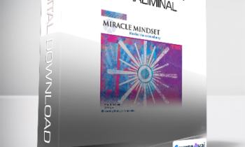 Paul Scheele - Miracle Mindset Paraliminal