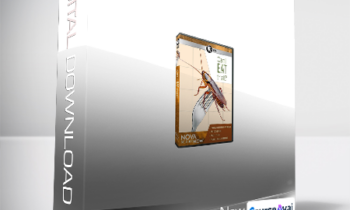 PBS Nova ScienceNow - Can I Eat That?