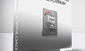 J.L. Lord - Random Walk Trading Options Platinum