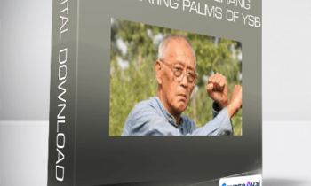 Liu Shichang - Yin style Baguazhang - Penetrating Palms of YSB