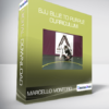 Marcello Monteiro - BJJ Blue to Purple Curriculum