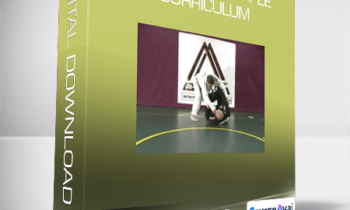 Marcello Monteiro - BJJ Blue to Purple Curriculum