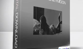 Matt Cook - Endless Honeymoon