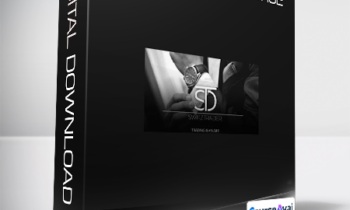 SwitzTrader - Forex Trading Course