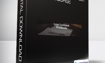 David Ford - Low Content Product Course