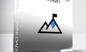 Donald Miller - Business Made Simple University