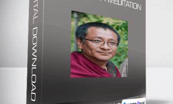 Dzogchen Ponlop Rinpoche - Mahamudra Meditation