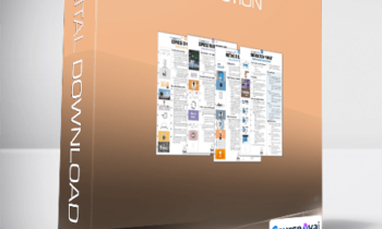 Derek Franklin - ReAction