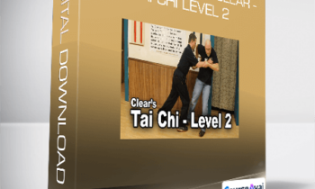 Sigung Richard Clear - Tai Chi Level 2