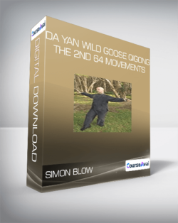 Simon Blow - Da Yan Wild Goose Qigong The 2nd 64 movements