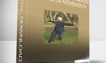 Simon Blow - Da Yan Wild Goose Qigong The 2nd 64 movements