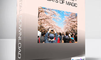 Sky Blossoms - 10 Days of Magic