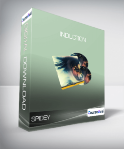 Spidey - Induction