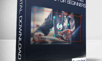 Syed Ali - E-Commerce Marketing Strategies For Beginners