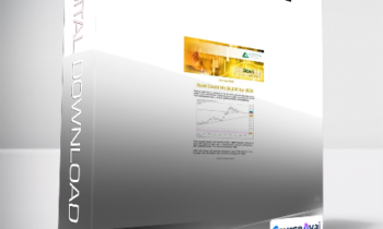 Jason Hamlin - Gold Stock Bull