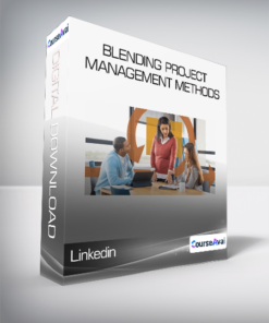 Linkedin - Blending Project Management Methods