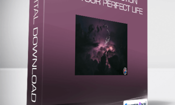 Matthew Barnett - Law of Attraction and your Perfect Life