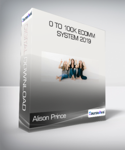 Alison Prince - 0 to 100k Ecomm System 2019