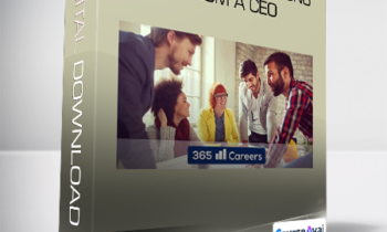 365 Careers - MBA in a box Lessons from a CEO