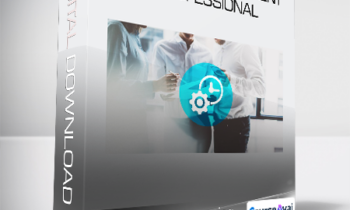 Stone River Learning - Project Management Professional