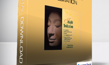 Sharon Salzberg - 12 Month Insight Meditation