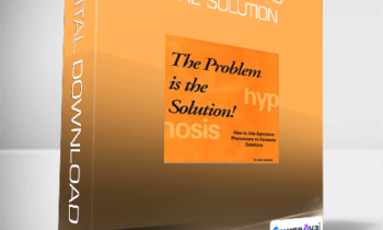Stephen Gilligan - The Problem is The Solution
