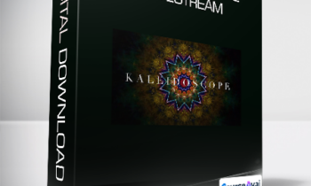 Dr. Joe Dispenza - The Kaleidoscope Livestream