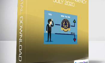 SEO Intelligence Agency - July 2020