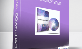David Snyder - Vibrational Influence 2020