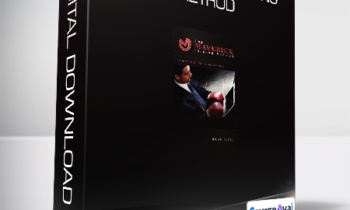 Brian Burns - The Maverick Selling Method