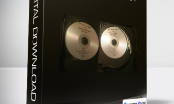 Matt Furey - The Furey Formula