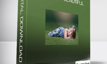 Meg Bitton - Backyard Beautiful