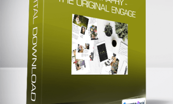 Amandaholloway Photography - The Original Engage