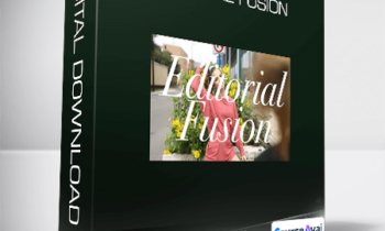 Amanda Holloway - Editorial Fusion