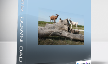 Deborah Niemann - Goats 101