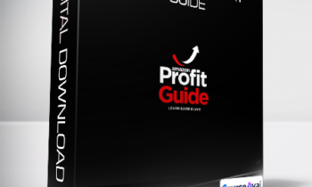 Dominick Carney - The Amazon Profit Guide