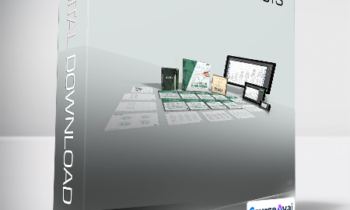 Rogue Мангака - STAGE 2 for Hobbyists