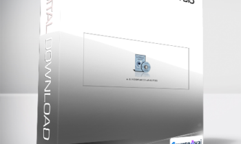 Carolyn Boroden - A-Z Fibonacci Analysis