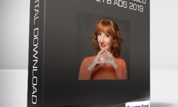 Claire Pelletreau 2020 - Absolute FB Ads 2019