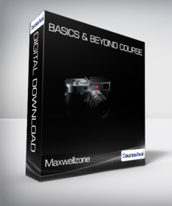 Maxwellzone - Basics & Beyond course