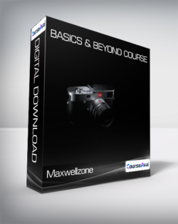 Maxwellzone - Basics & Beyond course