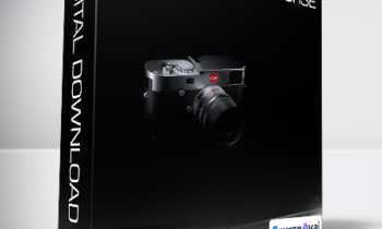 Maxwellzone - Basics & Beyond course