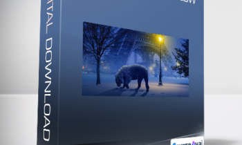 Kelvin Pimont - Photoshop Workflow