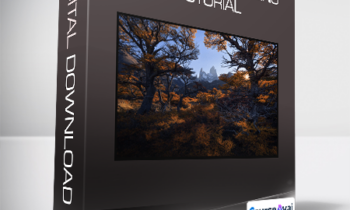 Eric Bennett - Tapestry Processing Tutorial