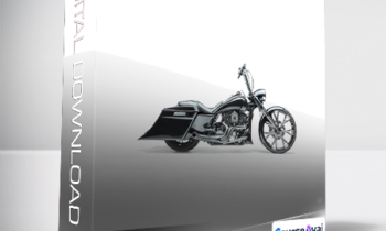 Joel Grimes - The Print