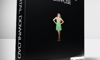 Brent Mail - The 3 Step Model Flow-Pose