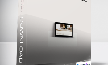 India Earl Education - The Initial Email Guide