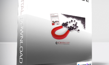 Udemy - Crystallize your Niche