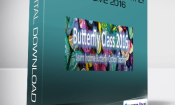 Dan Sheridan - Butterflies for monthly Income 2016